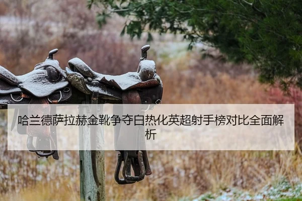 哈兰德萨拉赫金靴争夺白热化英超射手榜对比全面解析 - MILANSPORT