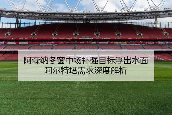 阿森纳冬窗中场补强目标浮出水面 阿尔特塔需求深度解析 - MILANSPORT